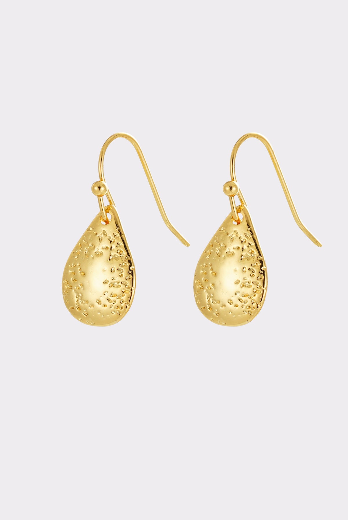 Neve Hook Earring - Gold